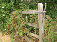 gate